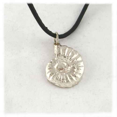 Half ammonite